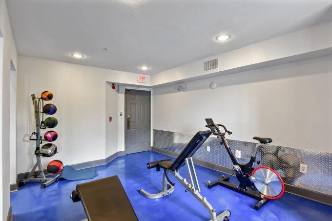 1 Mi To Usf Budget Friendly Pool Gym Villa Tampa Exterior photo